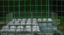 Strażąk Rączna