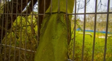 Jahnstadion Marl-Hüls. 2021-04-04