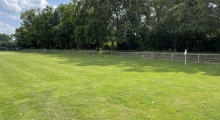 Sportplatz an der Lodemannbrücke - LSV Alexandria Hannover. 2021-07-03