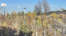 Chemnitzer. 2022-11-12