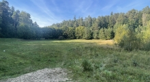 tadion Leśny - Relikt (Olsztyn). 2023-09-29