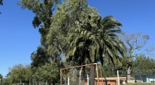 ARG: Estadio Saturnino Moure (Victoriano Arenas). 2024-04-17