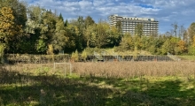 D: Stadion Zur Sonnenblume (SSVg Velbert). 2024-10-25